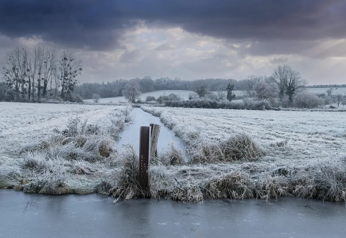 How to Identify and Report Invasive Species in Fenland Waterways