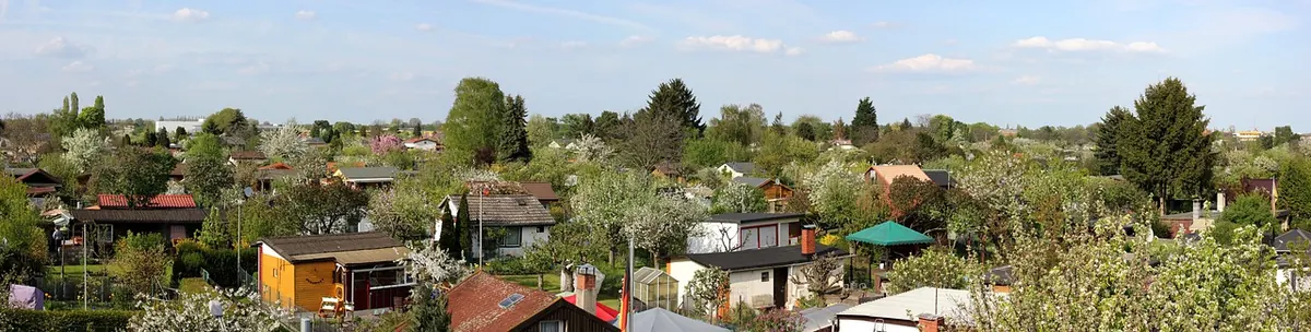 Starting a Community Allotment in Fenland: A Beginner's Guide